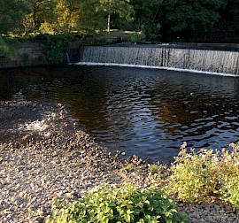 Water Features and Woodland